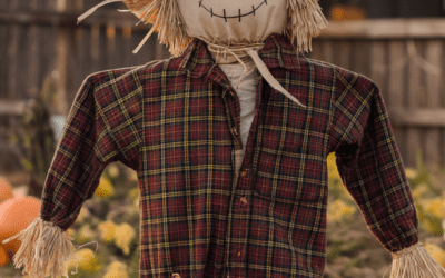 Scarecrow Ideas to Add Charm