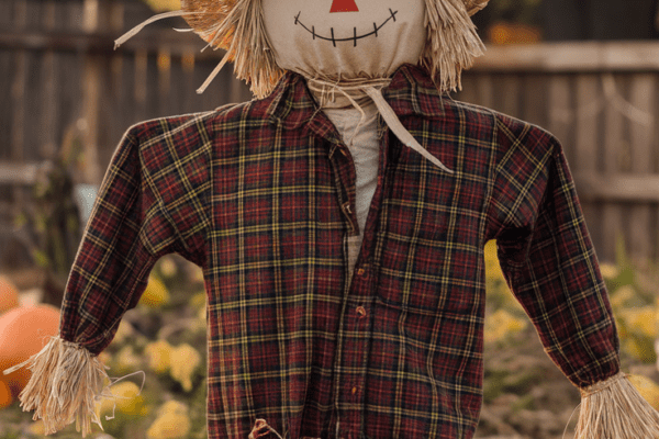 Scarecrow Ideas to Add Charm