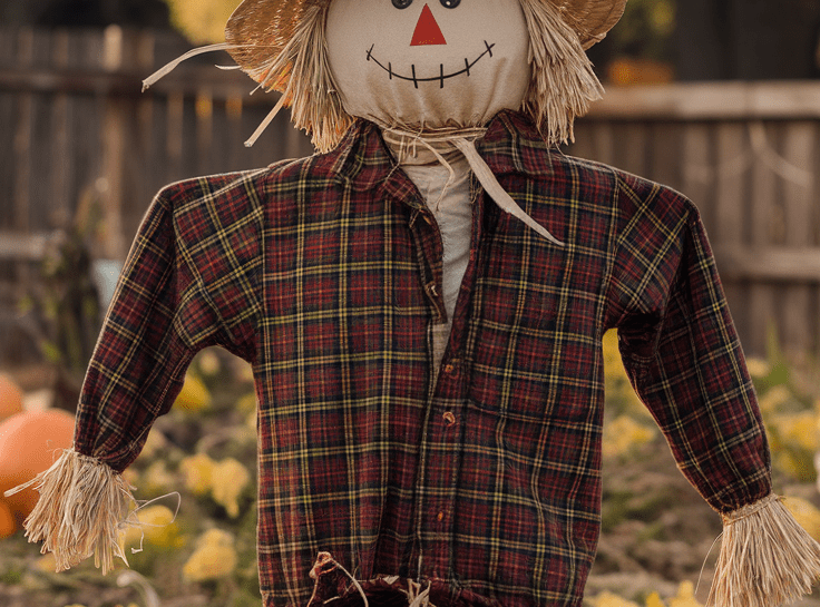 Scarecrow Ideas to Add Charm